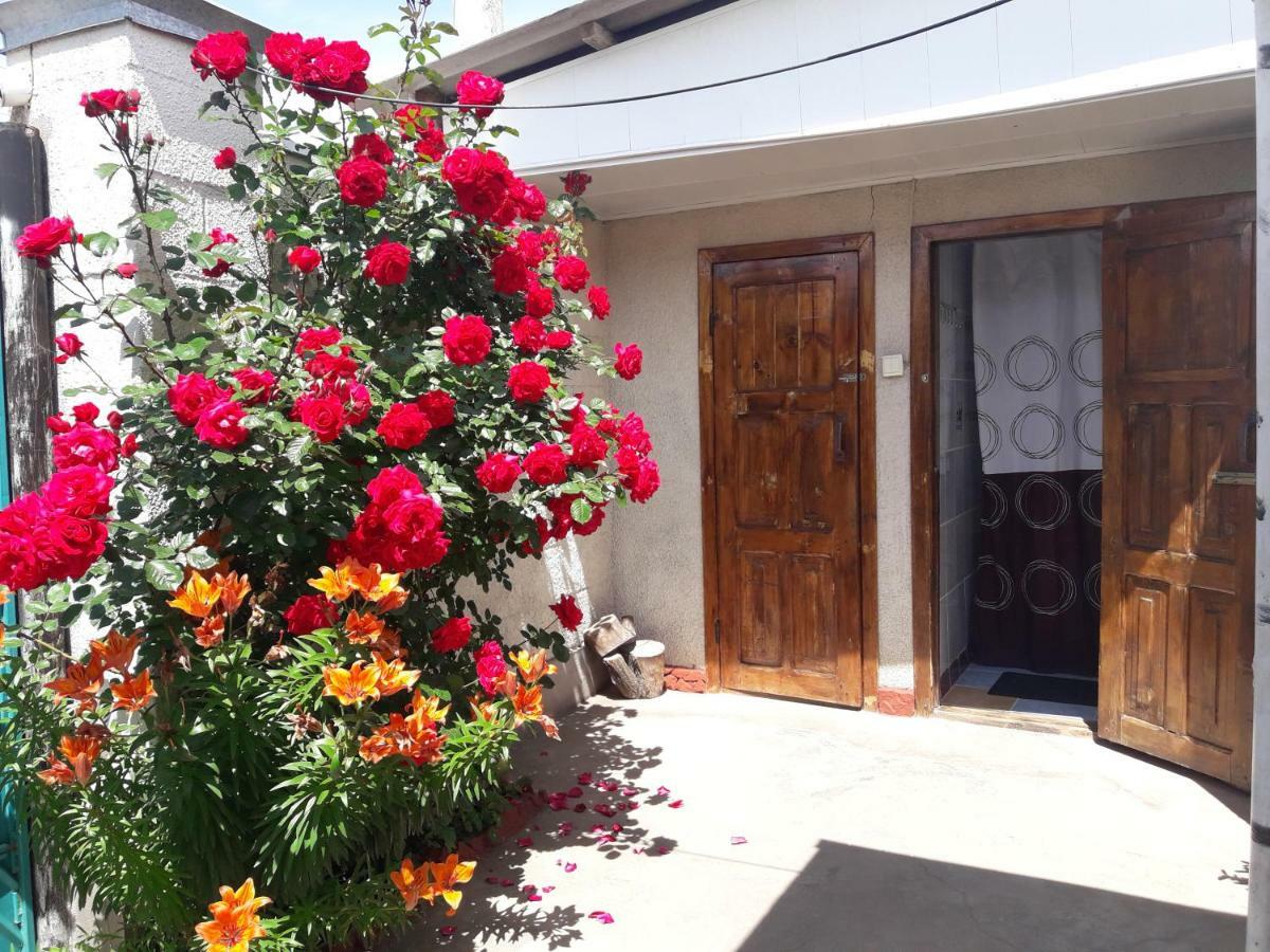 Olga Guest House Cholpon-Ata Exterior photo