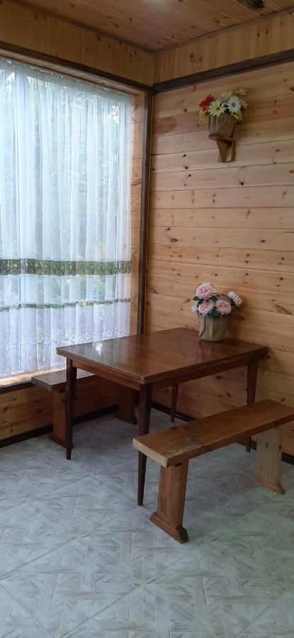 Olga Guest House Cholpon-Ata Exterior photo